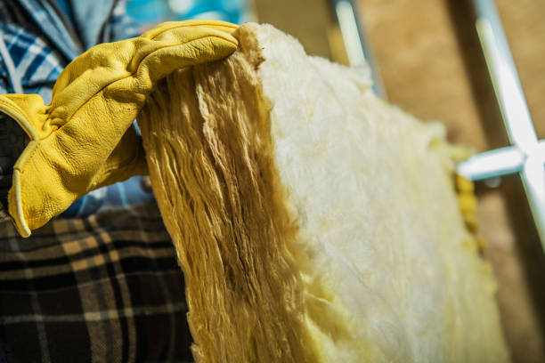 Professional Insulation Contractor in Penn State Erie, PA